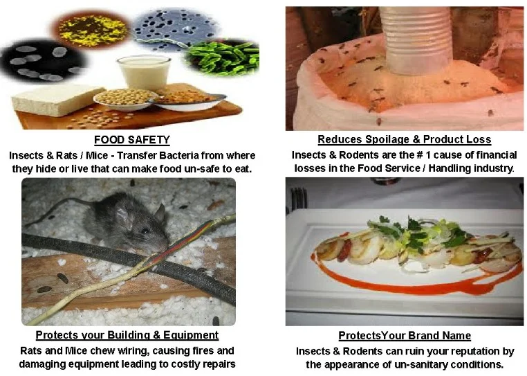 Best Pest Control Food Safety, Reduces Spoilage, Protects Building